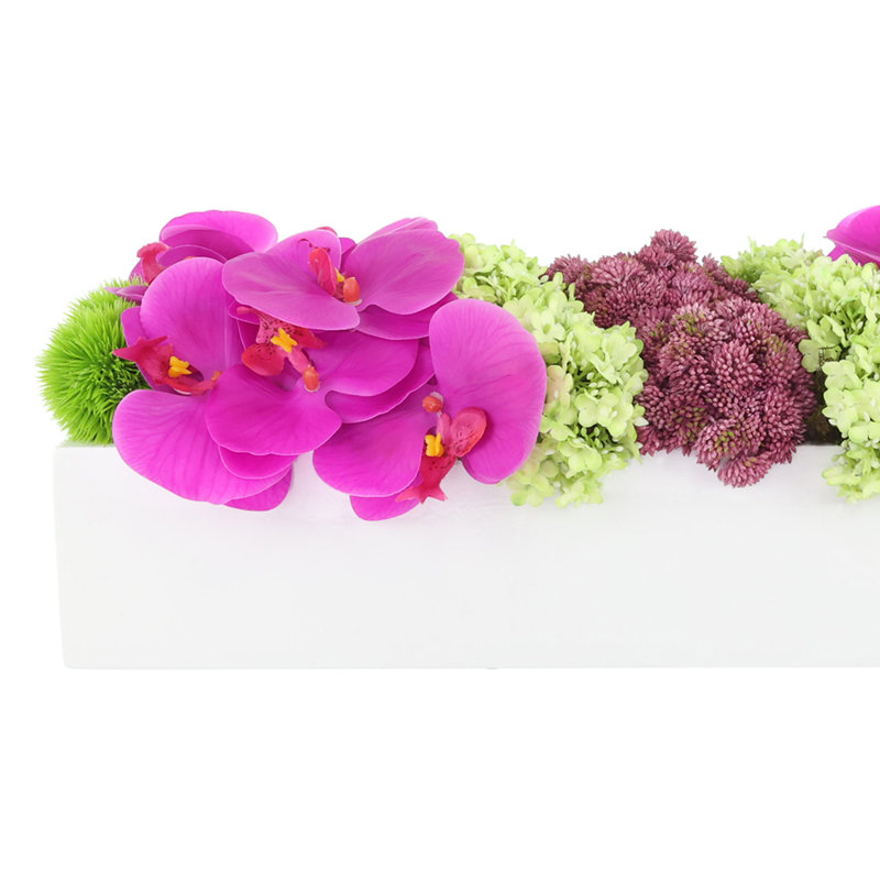 Modern Orchid and Succulent Arrangement