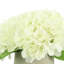 Hydrangea Floral Arrangement in Pot