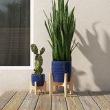 Esquer Ceramic Pot Planter