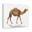 Wall Art on Canvas-1960925725