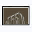 Jupiter Sky II In Bronze Print by Tim Klein
