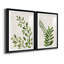 «Botanical Wash I», ensemble de 2 reproductions d'art sur toiles-455244317-455244305-455244319