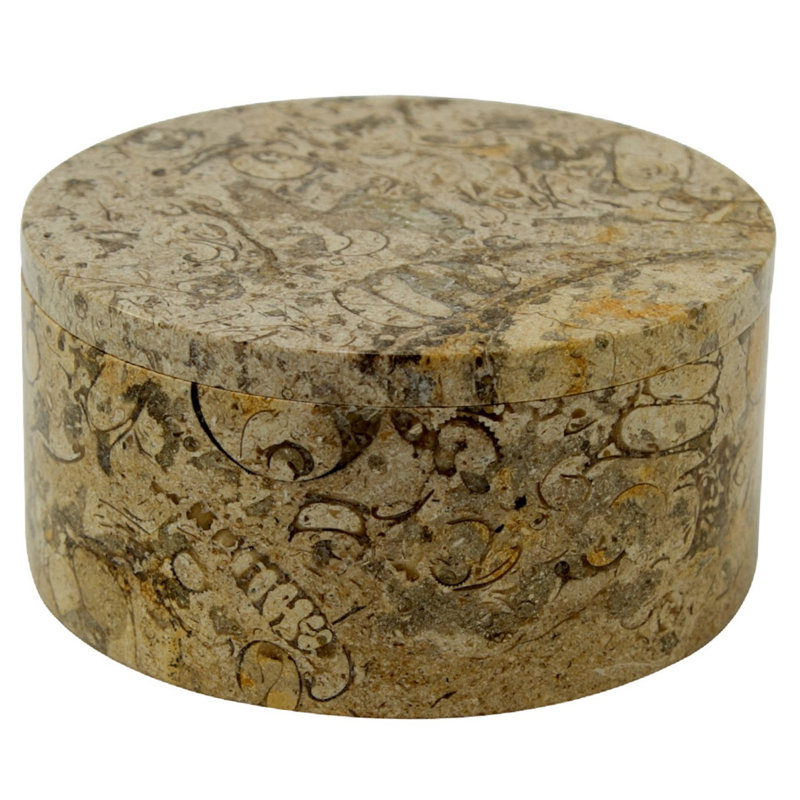 Boîte à accessoires trinket Coulter, Pierre fossilisée