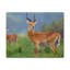 No Frame Print on Canvas-437089598