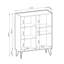 Zarine 2 - Door Mirrored Standard Accent Cabinet