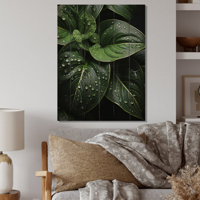 " Raindrop Over Green Leafs "