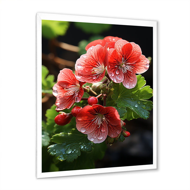 Geraniums roses sous le soleil - géraniums, art mural, H 20 po x l 12 po x P 1 po, Cadre simple blanc