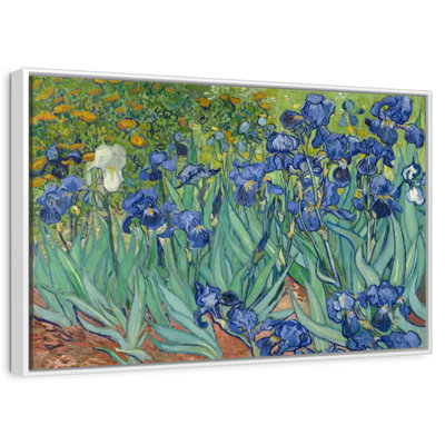 Irises 1889