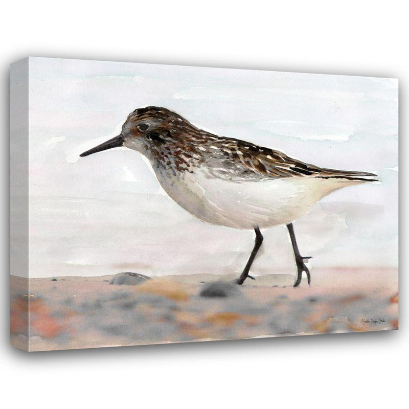 Art sur toile tendue par Dovecove Stellar Design Studio, titré Sandpiper 2, H 20 po x l 24 po
