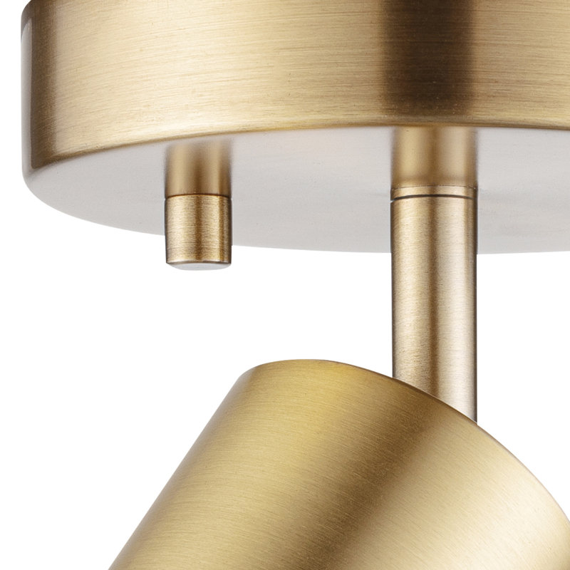 Ulverst Matte Adjustable Track Lighting Head, Brass
