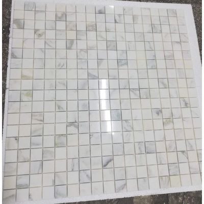 2 x 2 CALACATTA ORO POLI
