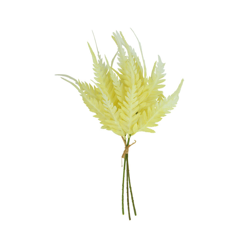Fern Bundle (Set of 2), Cream