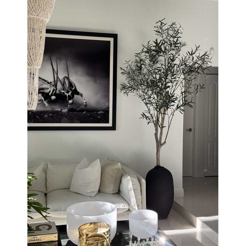 Artificial Olive Tree In White Konos Vase, Black