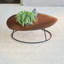 Astrakan Wool Area Rug in Neige-53685545