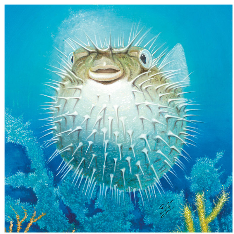 Puffer Fish 1 Piece Painting on Canvas, 66.04 cm H x 66.04 cm W x 3.175 cm D, No Frame