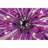 Apollo Iris Kamiyla Sputnik Sphere Chandelier-834143556-834143615-855859997