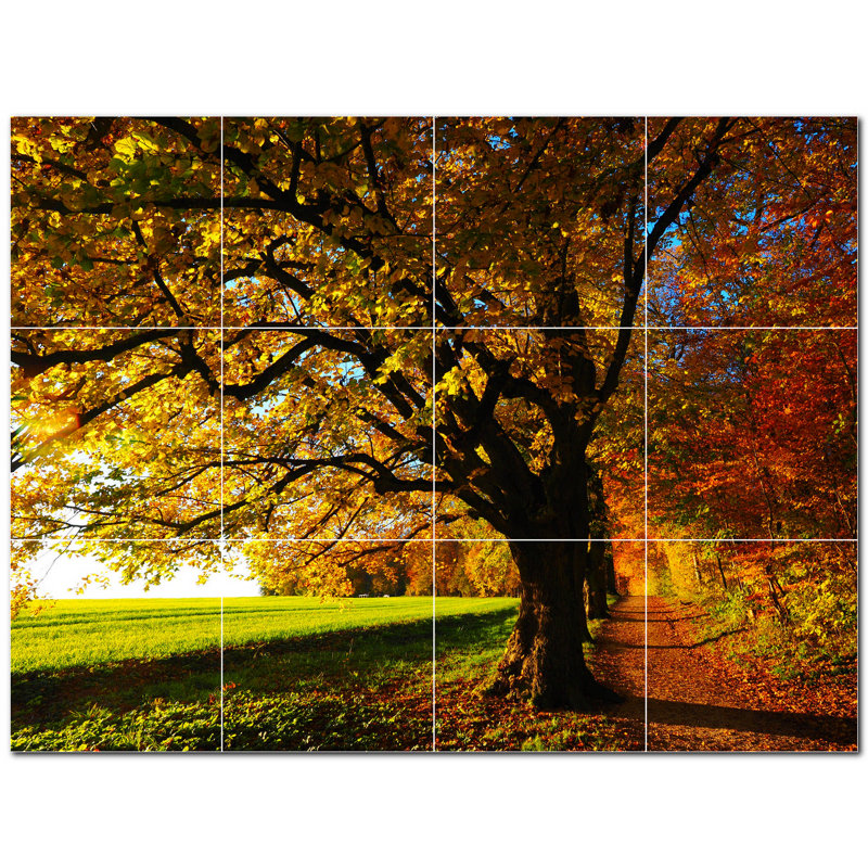 Photo d'automne 8 x 8