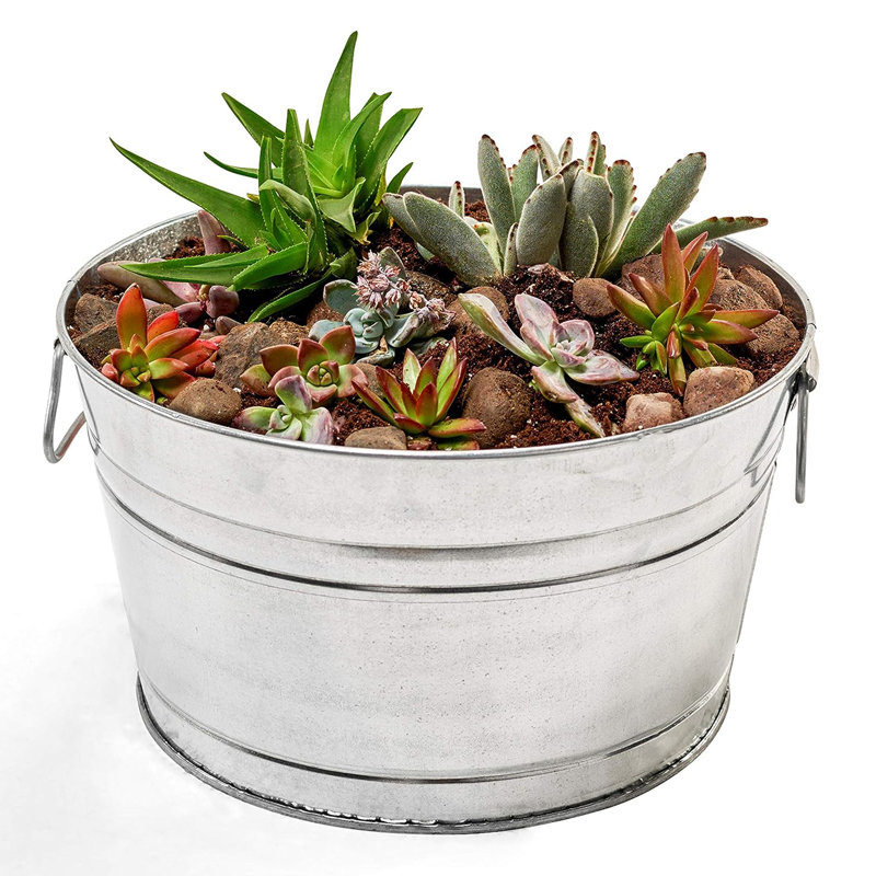 Metal Pot Planter