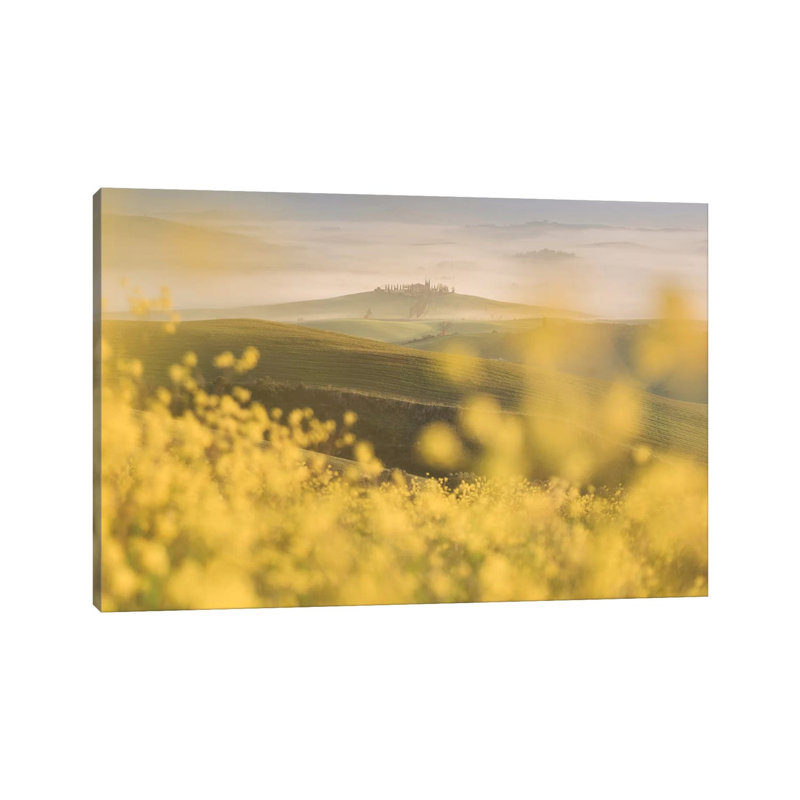 Spring In Tuscany IV by Daniel Kordan - Wrapped Canvas Print, 20.32 cm H x 30.48 cm W
