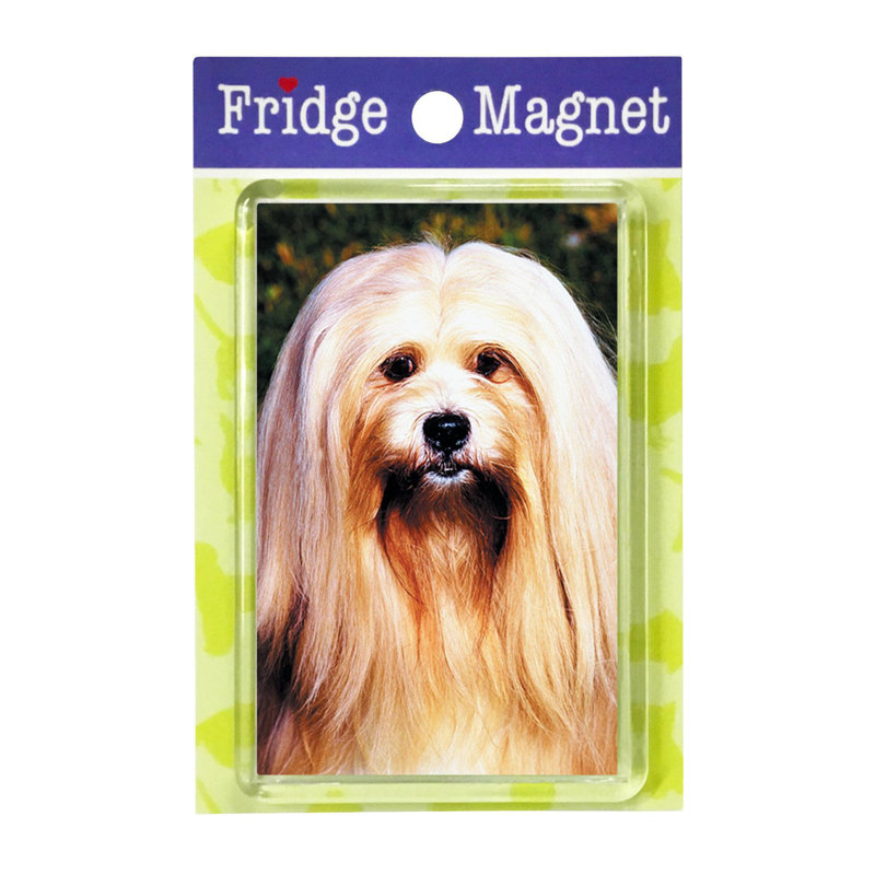 Fridge Magnet