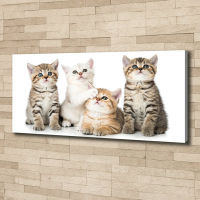 Small Cats - No Frame Print on Canvas