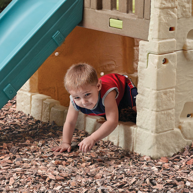 Step2 Naturally Playful Woodland Climber & Reviews | Wayfair