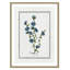 Colombe Soft Botanical I - Art encadré avec fond perdu-72514510-72514515