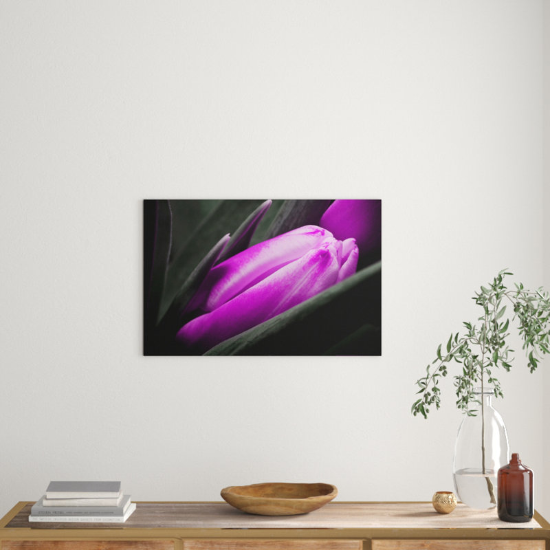Wrapped Canvas Print, 50cm H x 76cm W