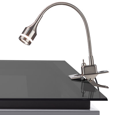 Winnie Adjustable Metal Clip On Lamp