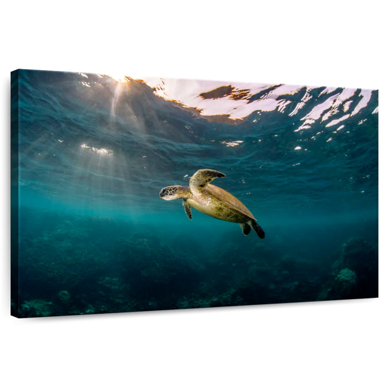 Ningaloo Reef Sea Turtle, 30" H x 45" W