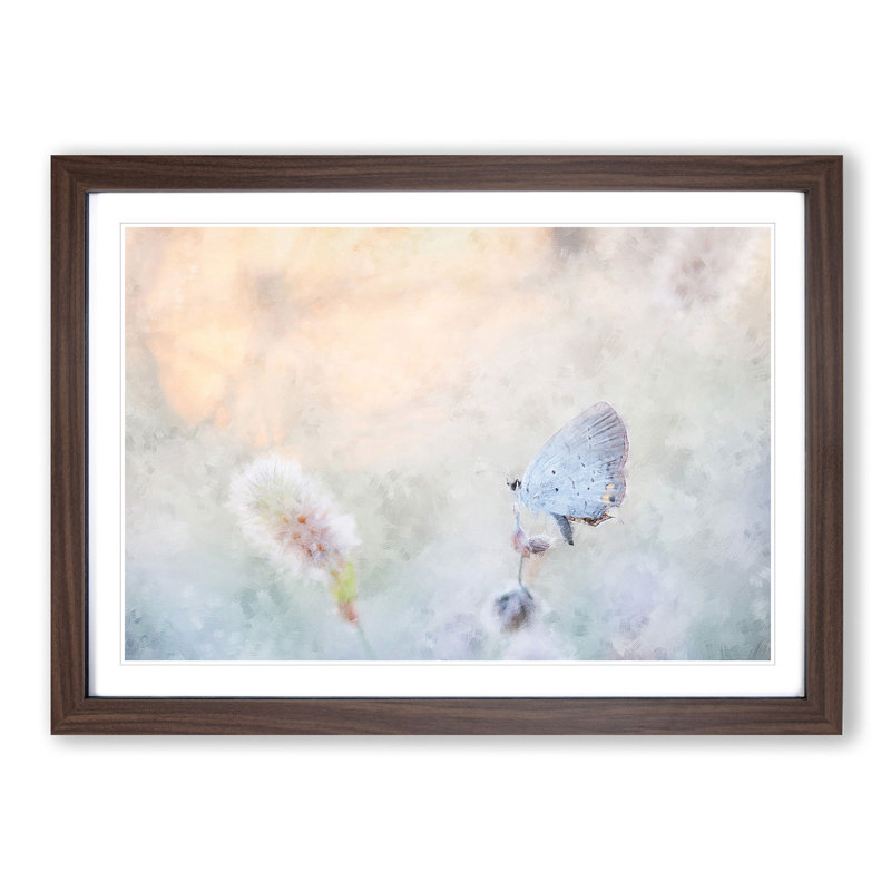 Tailed-Blue Butterfly - Picture Frame Painting Print, 45cm H x 63cm W x 2cm D, Walnut Framed