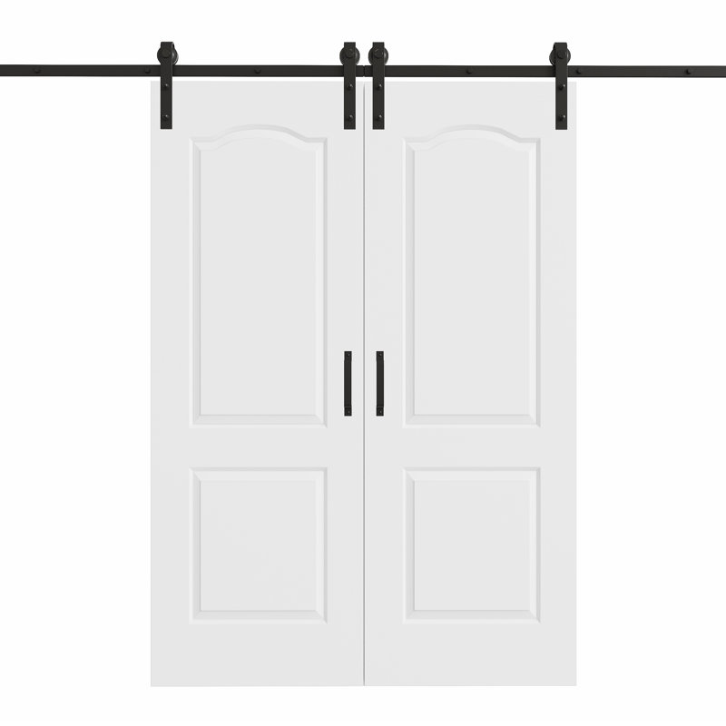 Porte de grange coulissante en bois 80 po H 2Lite, 56 po x 80 po