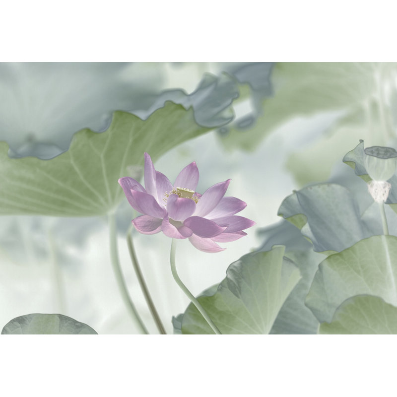 Wrapped Canvas Print, 50.8 cm H x 76.2 cm W