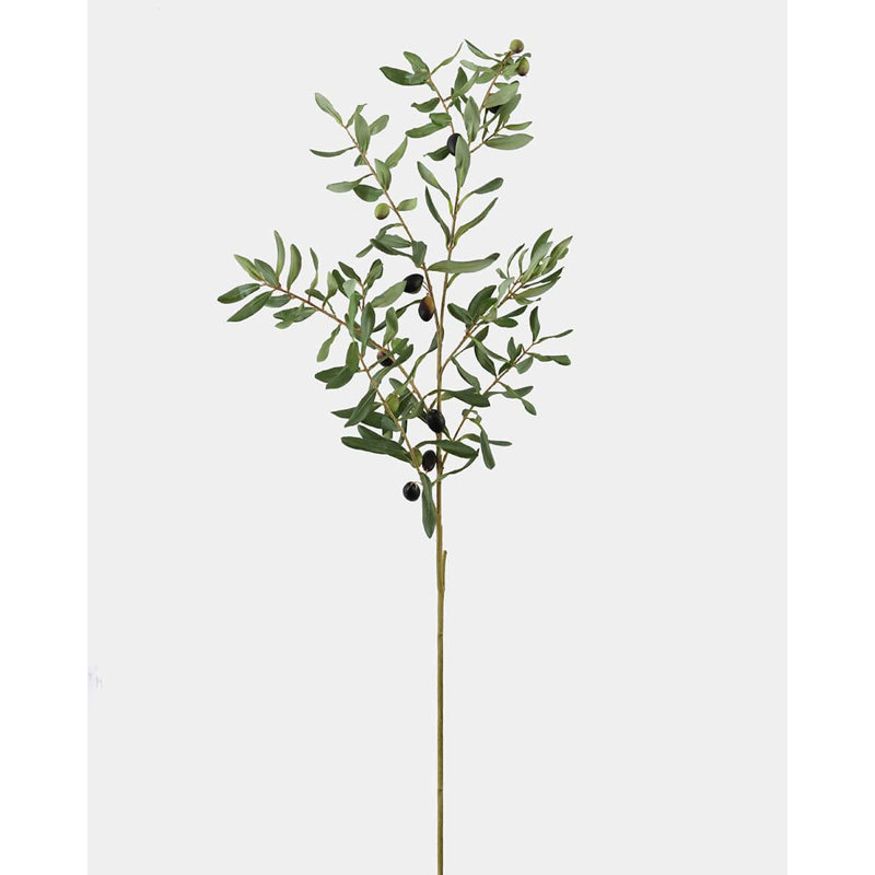 Large Olive Branch 46"