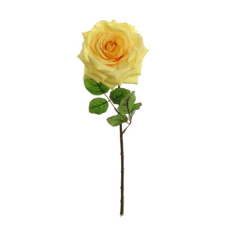 Tige de roses