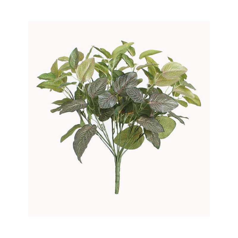 Buisson floral fittonia 16 po