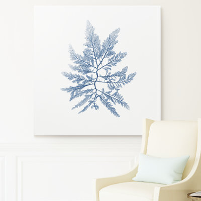 Marine Seaweed II - impression sur toile tendue
