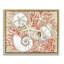 Cadre flottant Coral White Shells, design par Paul Brent-47316425-47316424