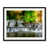 Black Framed Paper selected