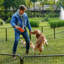 Parc pour chien pliable en métal robuste sans porte (ensemble de 4)-111152157-110976128