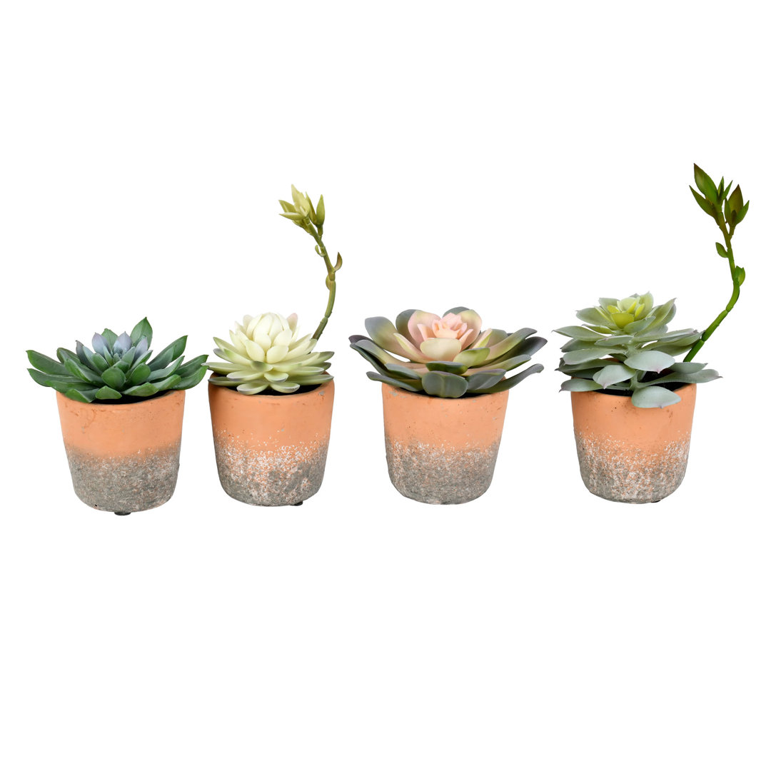 7'' Faux Succulent in Ceramic Pot (Set of 4) Union Rustic
