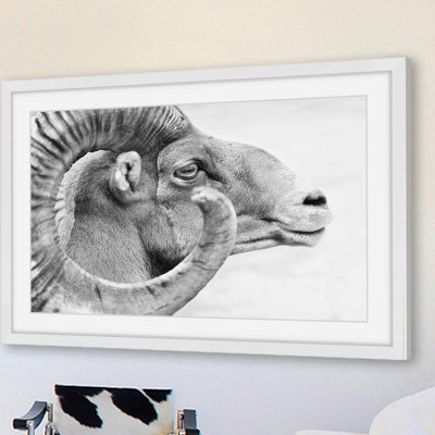 « ram profile 3 », reproduction de photo sur papier encadrée