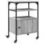 76cm H x 50cm W Printer Stand-1606943533