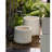 Pot Planter-715314714