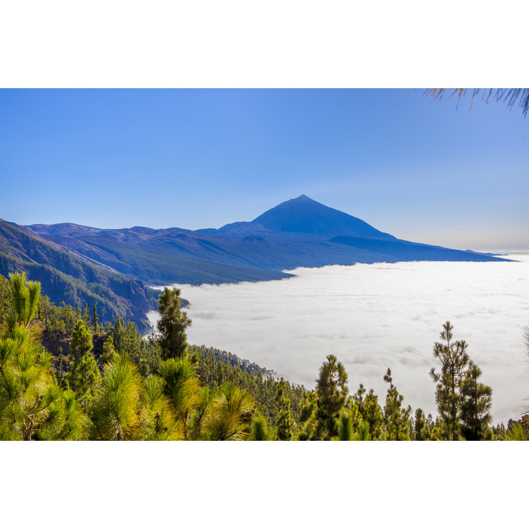 Teide Natural Park von Imv - Kunstdrucke auf Leinwand