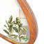 Miroir d'appoint 45 po