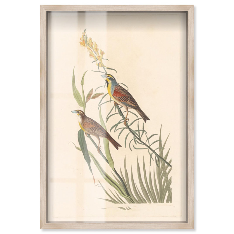 «Tallgrass pair shadowbox print», art botanique par Art Remedy, H 46 po x l 31 po, Crème, crème