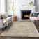 Machine Washable Indoor/Outdoor Colman ACN2136 Global Rug