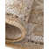 Oriental Machine Woven Polypropylene Indoor / Outdoor Area Rug in Natural
