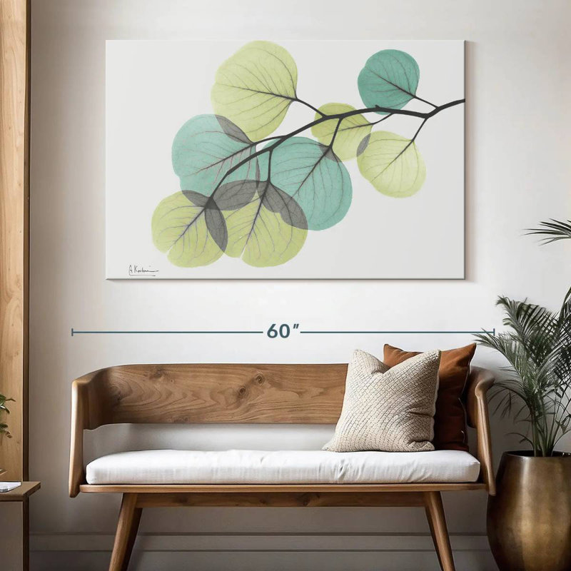 Eucalyptus Harnek Turq, H 34 po x l 51 po